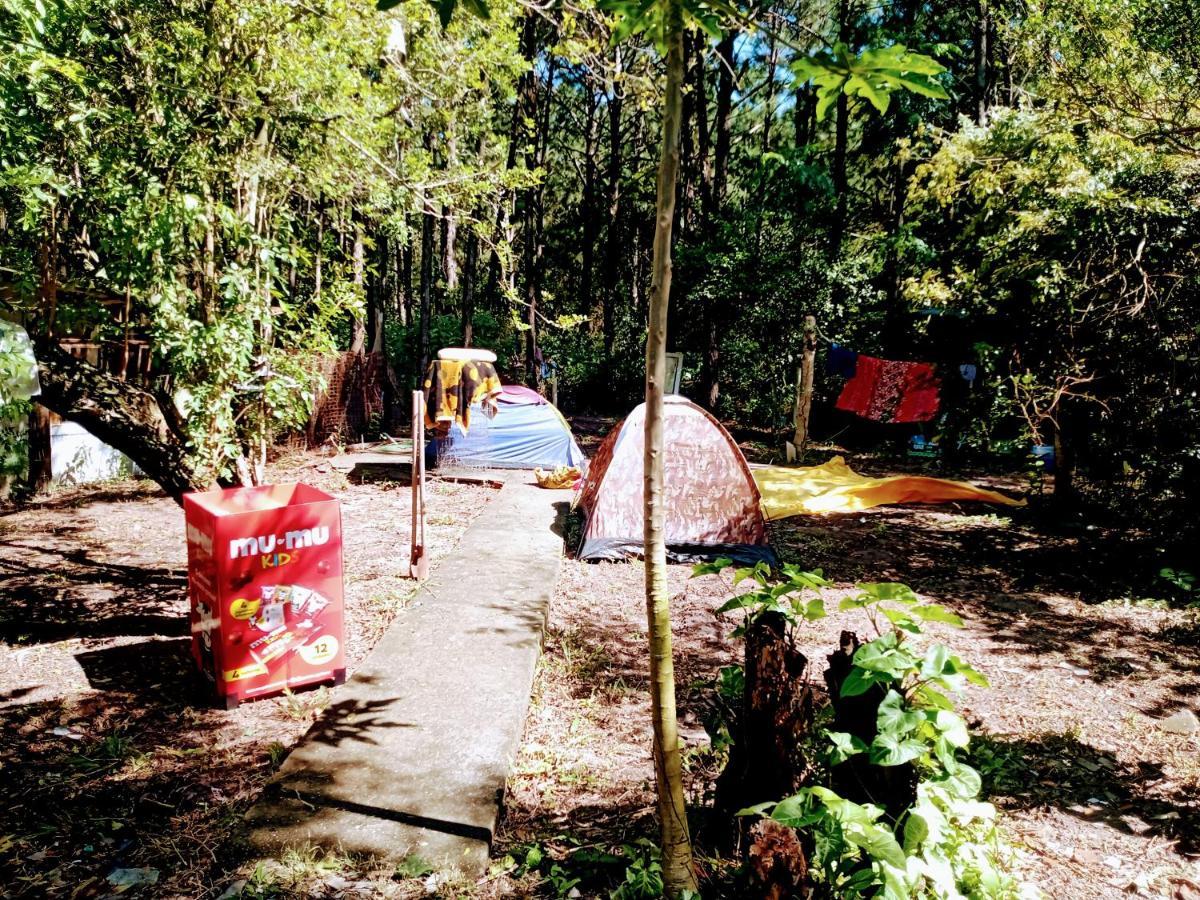 Camping Novas Palmeiras ฟลอเรียนอโปลิส ภายนอก รูปภาพ